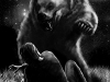 angelkiller-bear