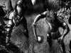 crownofvengeance-onanwarriors