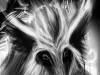 dreamoflegends-boar