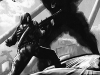 thesevenththrone-ankiattack