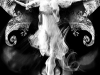 thesevenththrone-asaan
