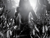 thestormguardians-3anki