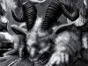 thestormguardians-serim