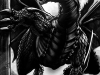 thrall-dragon