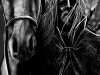thrall-gorias-traveller